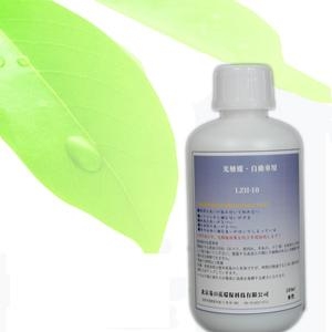 汽車(chē)專(zhuān)用型-甲醛異味清除